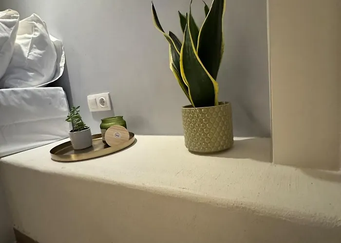 公寓 Olivia Tertseti 1 *